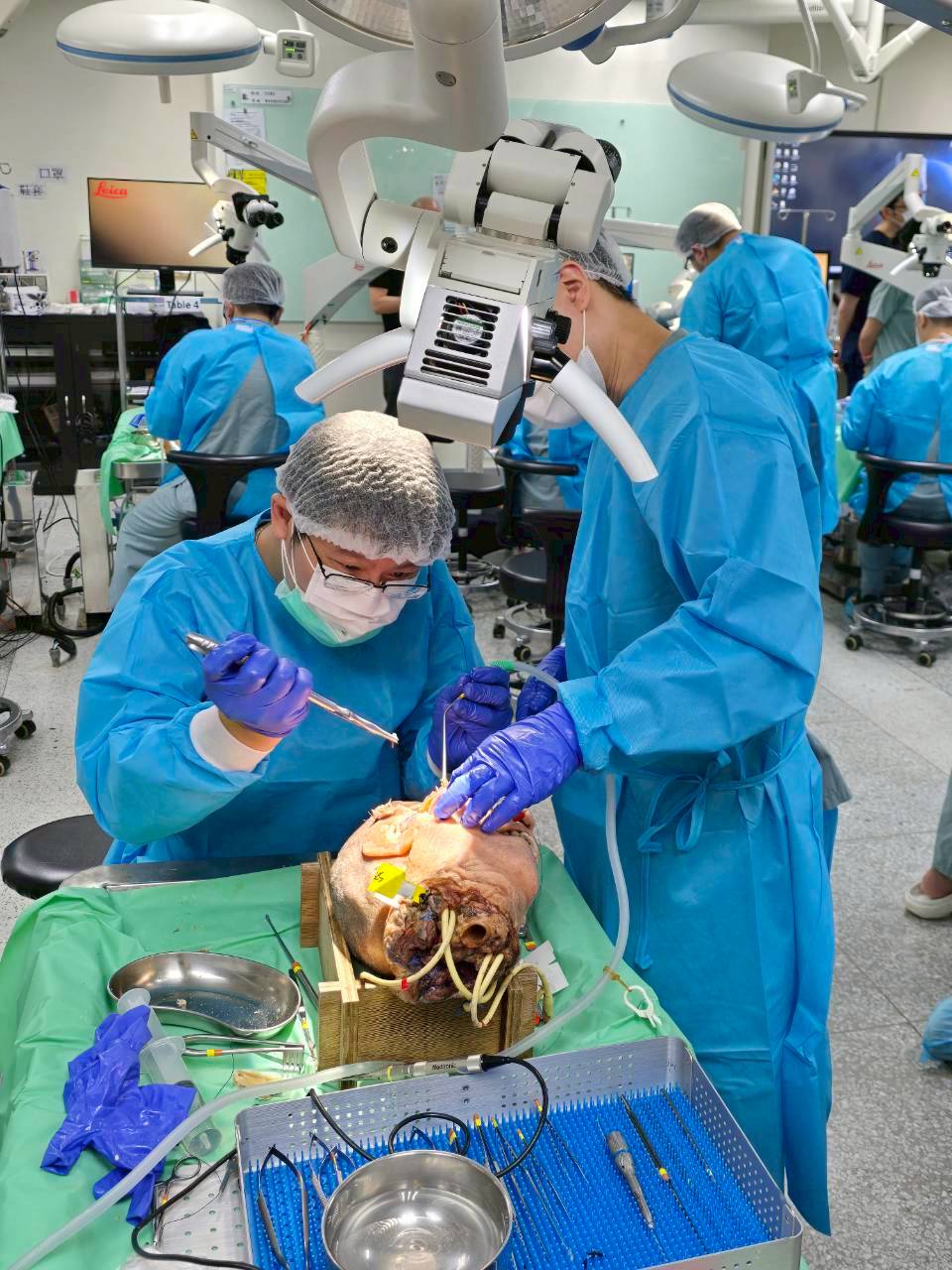 2025.06.07-08 神種顱底聯合夏季會合併R5教育訓練課程_大體模擬手術工作坊