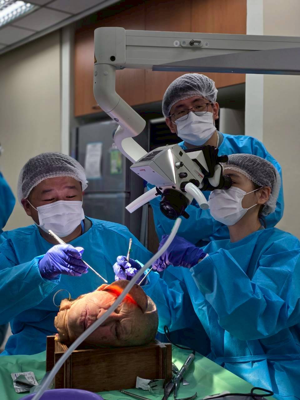 2025.06.07-08 神種顱底聯合夏季會合併R5教育訓練課程_大體模擬手術工作坊