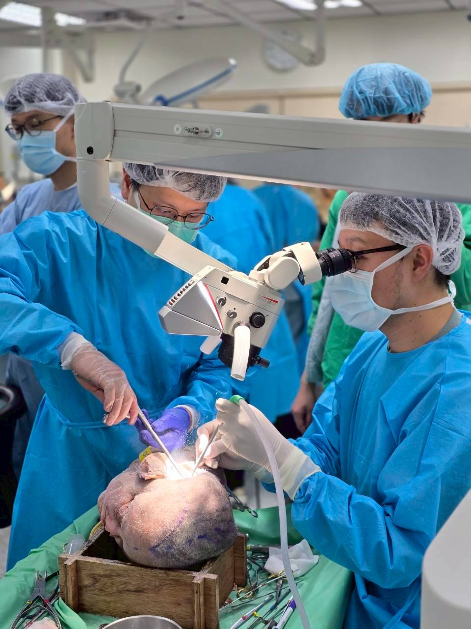 2025.06.07-08 神種顱底聯合夏季會合併R5教育訓練課程_大體模擬手術工作坊