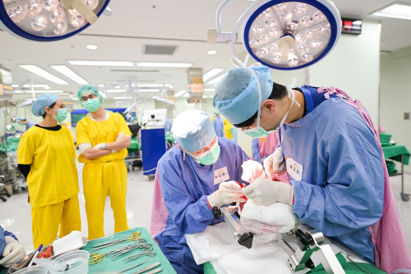 2026 白質纖維束功能與解剖在神經外科的應用 -	3D模擬工作坊暨大體解剖訓練課程