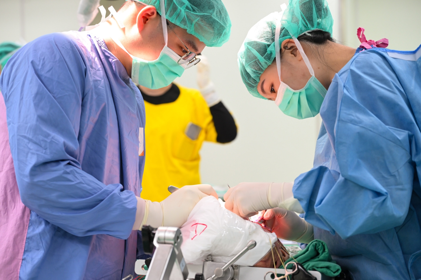 2026 白質纖維束功能與解剖在神經外科的應用 -	3D模擬工作坊暨大體解剖訓練課程