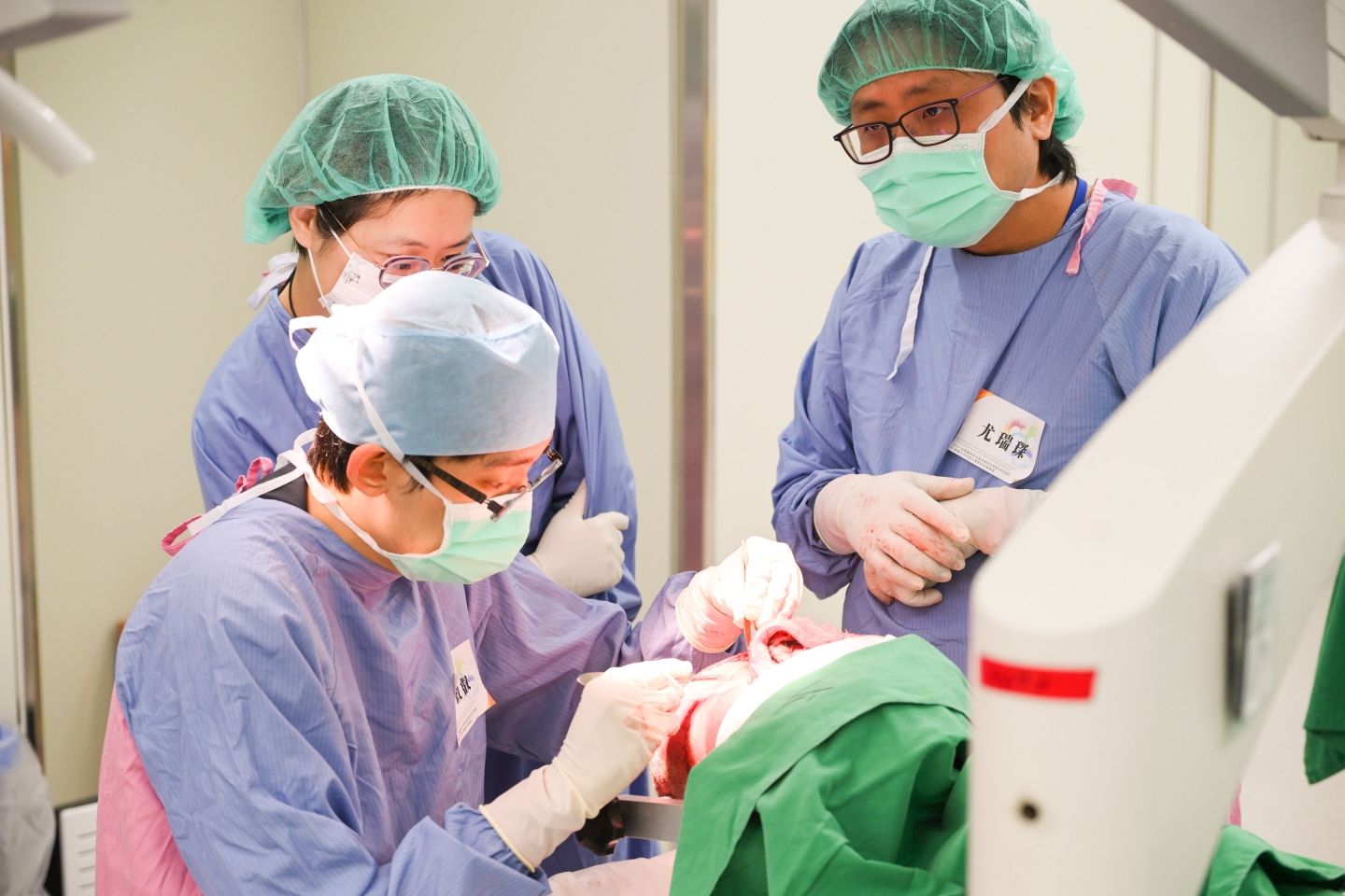 2026 白質纖維束功能與解剖在神經外科的應用 -	3D模擬工作坊暨大體解剖訓練課程